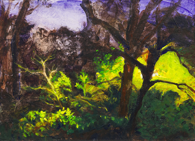 Landscape Jollenpad